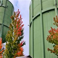 Water-Wise Home Building In Portland, OR: Why Irrigation System Design Matters