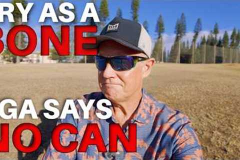 Maui''s Loss Equals Real Estate Investor Gains