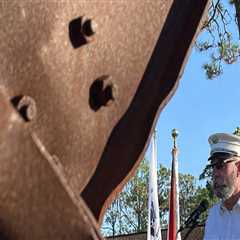 Curb Appeal Clarity: The Direct Impact Of Tree Stump Grinding Service On Residential Appraisals In..