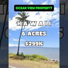 Ocean view in Hawaii 6 acres for $299K. #foryou #shorts #landcentury #land #hawaii
