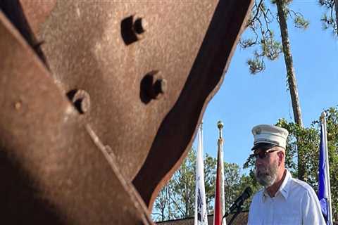 Curb Appeal Clarity: The Direct Impact Of Tree Stump Grinding Service On Residential Appraisals In..