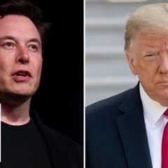 Elon Musk joined call between Trump and Zelenskyy, Fox confirms