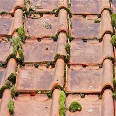 Choosing the Right Roof Contractor for Senior Living
