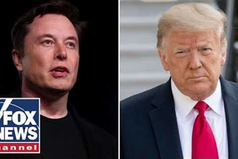 Elon Musk joined call between Trump and Zelenskyy, Fox confirms