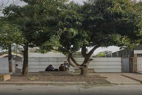 A 1950s Home in Argentina Is Now a Live/Work Community for Five Friends