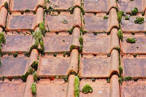 Choosing the Right Roof Contractor for Senior Living