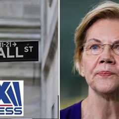 Warren’s fingertips are ‘all over’ the markets: Massachusetts senate candidate