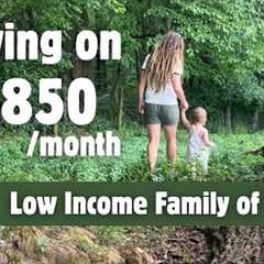 💰EXTREME BUDGET | Can You Be Happy Without Spending Money? #debtfree #frugalliving #offgrid