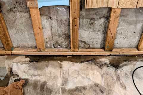 Behind the Drywall: Construction Choices That Invite Water Damage