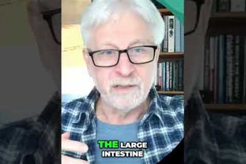 Inflammation Location Indicates Gut Issues #shorts