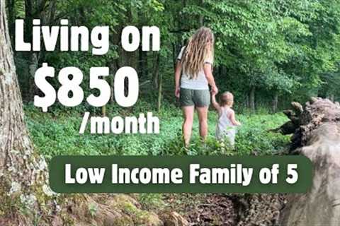 💰EXTREME BUDGET | Can You Be Happy Without Spending Money? #debtfree #frugalliving #offgrid