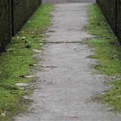 Ensure Your Las Vegas Dream Home is Mold-Free