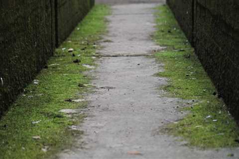 Ensure Your Las Vegas Dream Home is Mold-Free