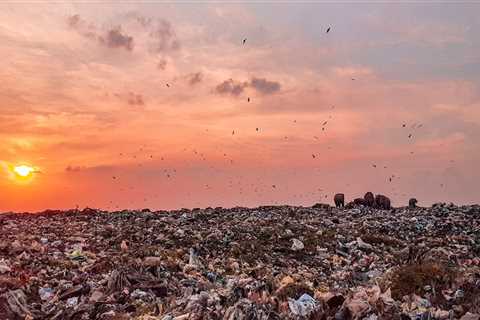 Enhance Real Estate Photography with Clutter-Free Spaces