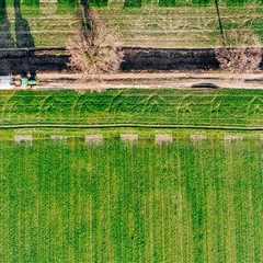 Elevate Property Value with Tree Fertilization in Virginia Beach