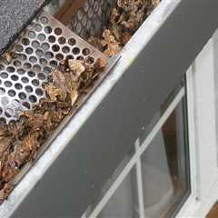 Why Seamless Gutter Companies in Orlando Are Essential for Better Property Maintenance in Property..