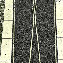 Enhance Your Property with Professional Paving in Portland