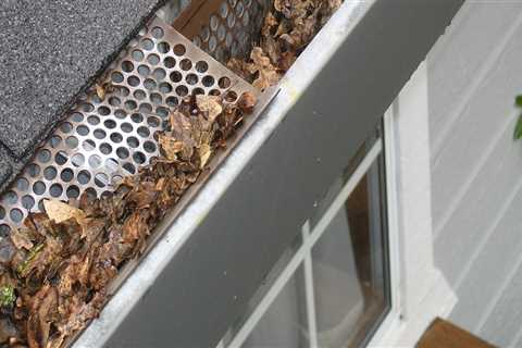 Why Seamless Gutter Companies in Orlando Are Essential for Better Property Maintenance in Property..