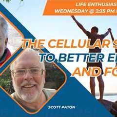 The Cellular Secret To Better Energy and Focus!